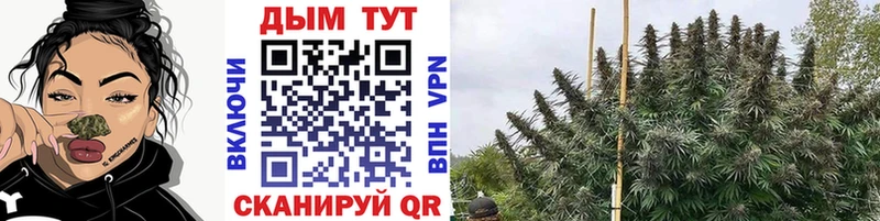 Наркота Оха Галлюциногенные грибы Каннабис МЕФ ГАШИШ Кокаин A-PVP