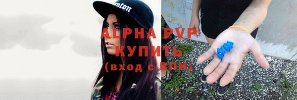 дмт Богородицк