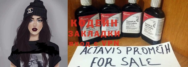 амф Богданович