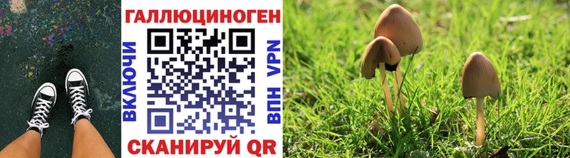 что такое наркотик  Оха  Галлюциногенные грибы Psilocybine cubensis 